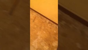 Как снять линолеум приклеенный к полу !