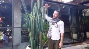 КАК СДЕЛАТЬ ЛОФТ недорого своими руками в обычной квартире !