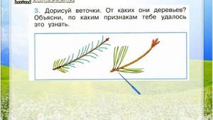 Задание 3 Что такое хвоинки? - Окружающий мир 1 класс (Плешаков А.А.) 1 часть