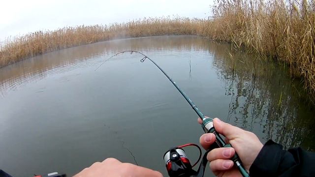 С Dayo Prestige за карасем в декабре смотреть онлайн