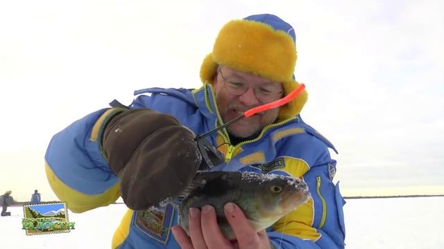 Рыбалка на жерлицы, ловля ЧЕРНОГО окуня, Декабрь 2014 Сургут. смотреть онлайн