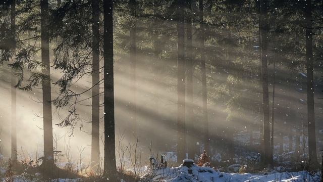 Расслабляющая Фортепианная Музыка - Красивая Музыка Для Сна - Relaxing Music смотреть онлайн