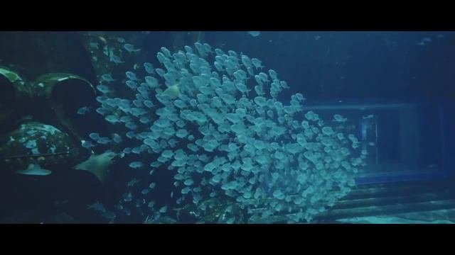 ATLANTIS SANYA 5* (Китай/о-в Хайнань/ Хайтанбэй) | Все цены  💳  в ↓ 