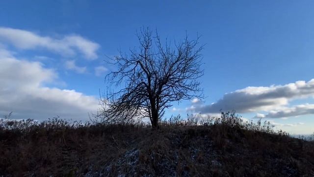 Почему так сложно быть как Финн? смотреть онлайн