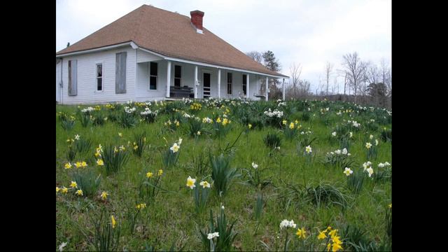 2022 Earth-Kind Bulbs to Bloom смотреть онлайн