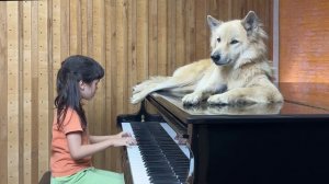 "Moon River" on Piano for Sharky the Dog