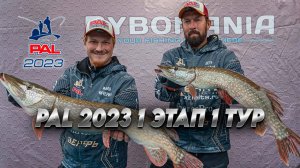 1-й Этап PAL 2023. Первый тур. Щучий день!