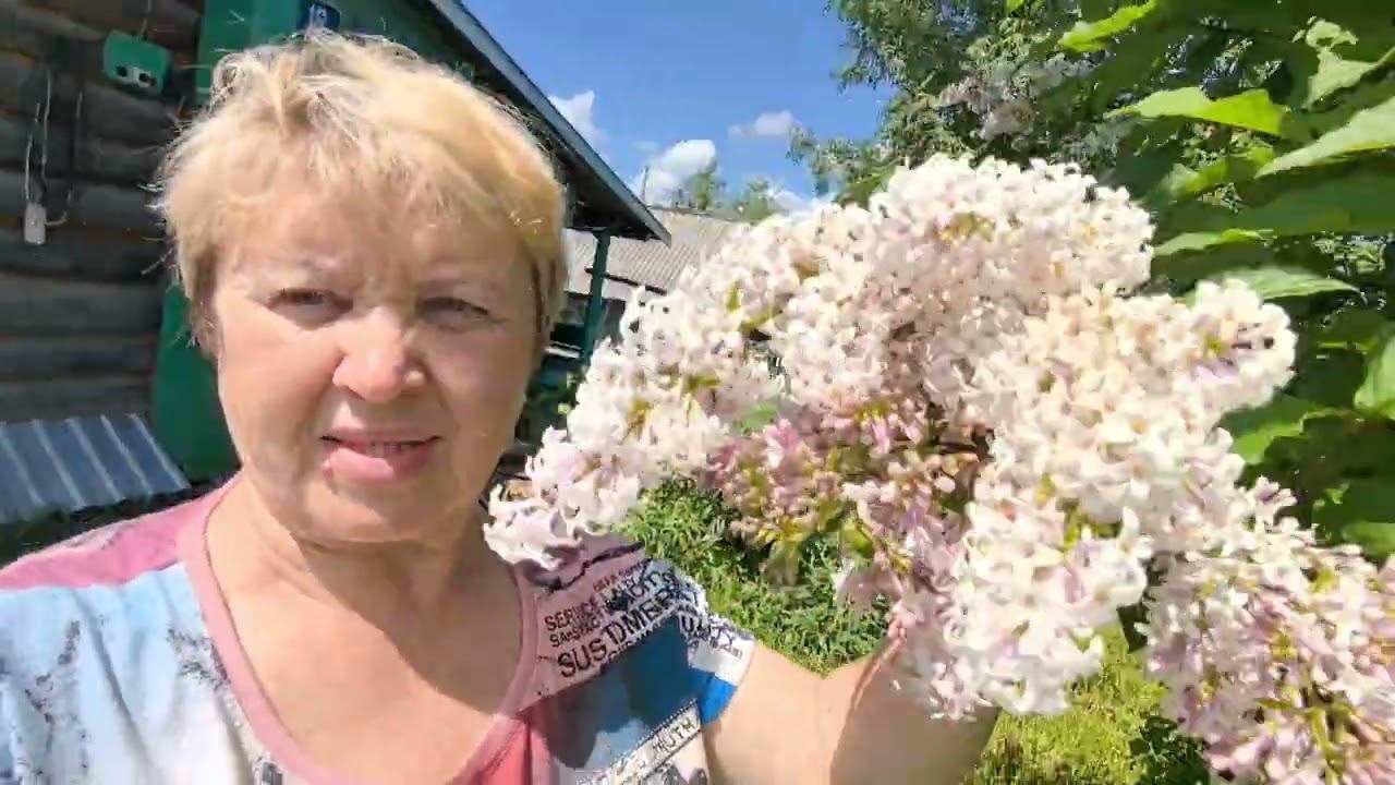 ВЛОГ. Огород. Память о маме. Гроза. смотреть онлайн