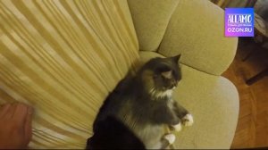 Перчатка пуходерка