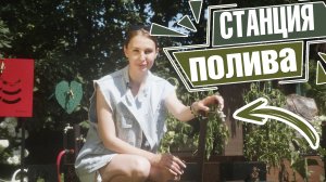 Система полива на даче