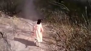 во поле берёза стояла (реп дворняги)