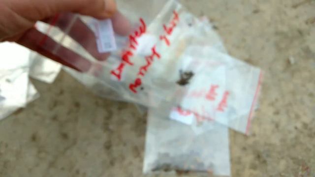 Seeds gift Mil Gya | Summer flowers seeds k liye order kren смотреть онлайн