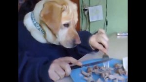 Трапеза Ваномаса: Батя точит макарошки