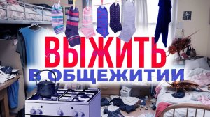 Сдал ЕГЭ, что делать дальше? | 10 советов поступающим