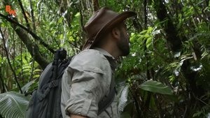 ПОЙМАЛИ ЯДОВИТУЮ ЛЯГУШКУ - КРАСЯЩИЙ ДРЕВОЛАЗ