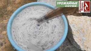 Негламурный огород-12. Обработка участка после томата, перца и баклажана: как это сделать правильно