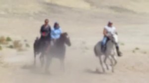 Подружки развлекаются :) с HORSERIDING HURGHADA