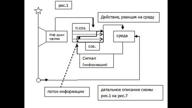 Информация #11 часть 3 смотреть онлайн