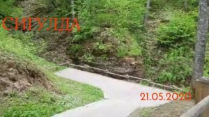 кукушка.. сколько б ты , не куковала