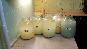 Кислотность браги.