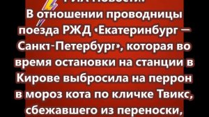 На проводницу, которая выбросила кота Твикса из поезда, завели уголовное дело