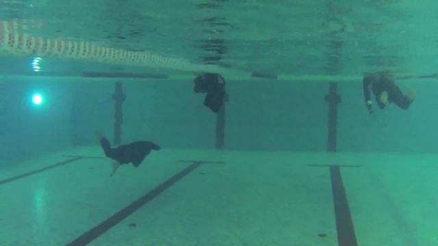 динамика без ласт под водой кролем 125 DNF @azhikin смотреть онлайн