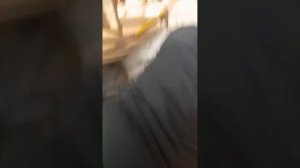 ЕЖИК! ЕЖИК! Дубль 2! / Новогодний ЕЖ3 2024, Прощальные Кадры 🎞️