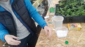 Обработка привекуром