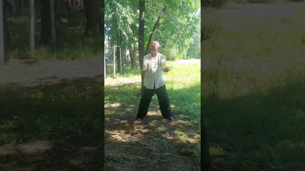 Фацзин. Наработка усилий. Часть 1. #kungfu #даосскиепрактики #цигун #двигайся_в_потоке #сшт