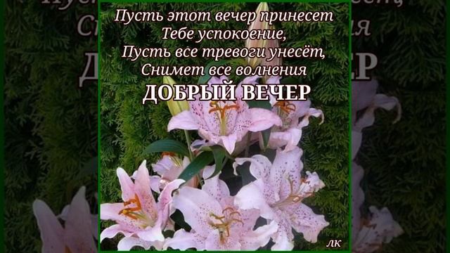 ДОБРЫЙ ВЕЧЕР. МИРА, ДОБРА ВАМ И УЮТА. ОЧЕНЬ НЕЖНАЯ МУЗЫКАЛЬНАЯ ОТКРЫТКА. Музыка Ндрея Обидина смотреть онлайн