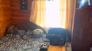 Дача в СНТ Весна