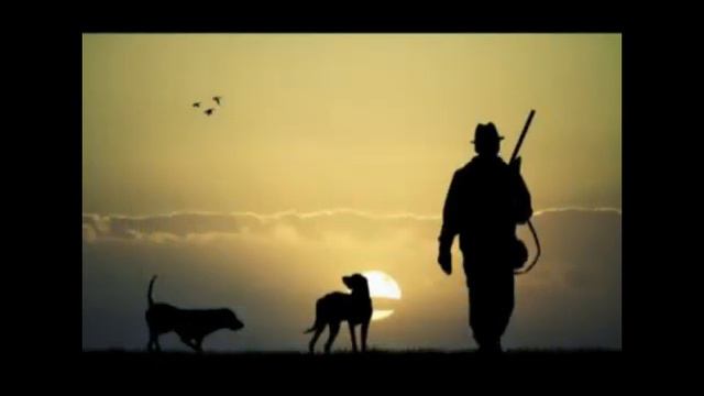 Урок русского языка и литературы смотреть онлайн