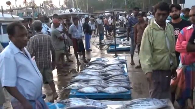 Sri Lanka .Рыбный базар на Цейлоне. Шри Ланка от Отдых в Крыму #отдых в крыму смотреть онлайн