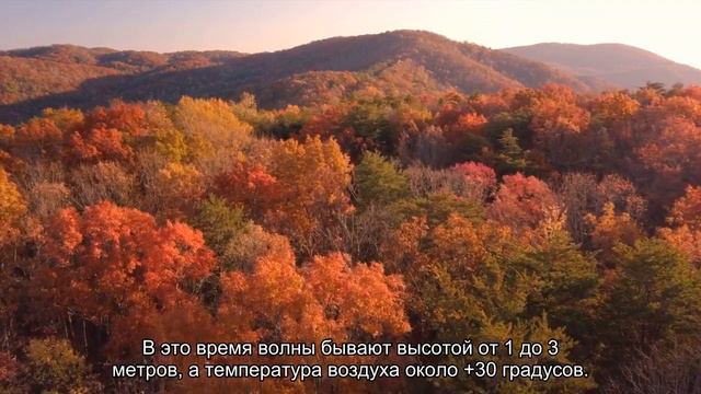 Серфинг на Шри-Ланке – выбираем направление и школу