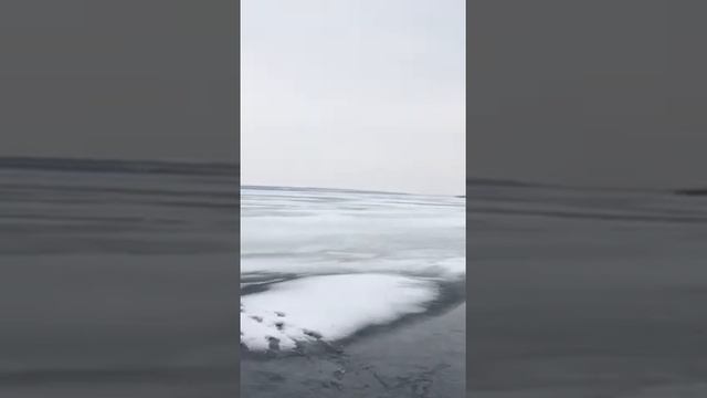 Веселовское водохранилище Бугры. Обстановка, видео отчет