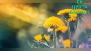 ТАЪБИРИ ХОБИ// ГАХВОРА //ГУШПОР//ДАСПОНА//ДУЗД?