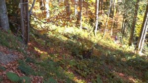 Роза-Хутор и парк водопадов Менделиха 2019