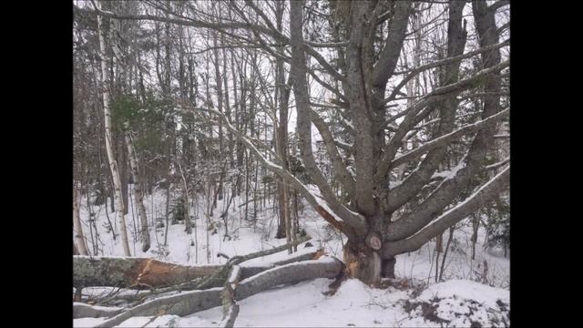 Who's responsible for the Meter on my house ? - Everything you should know смотреть онлайн