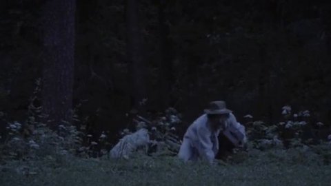 ПЕЛАГИЯ И БЕЛЫЙ БУЛЬДОГ 3СЕРИЯ 2009 XviD DVDRip