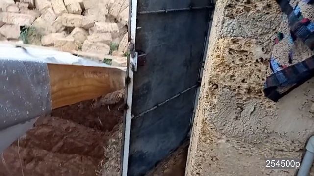 Выгребная яма