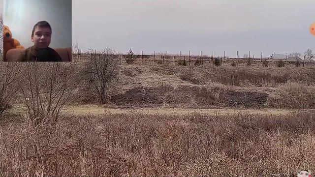 реакция на аликондру сосисондру смотреть онлайн