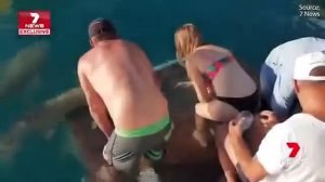 женщину утащила акула под воду на глазах у мужа