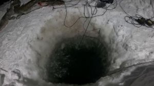 И снова перемет. Для тупых крючков, улов просто супер!