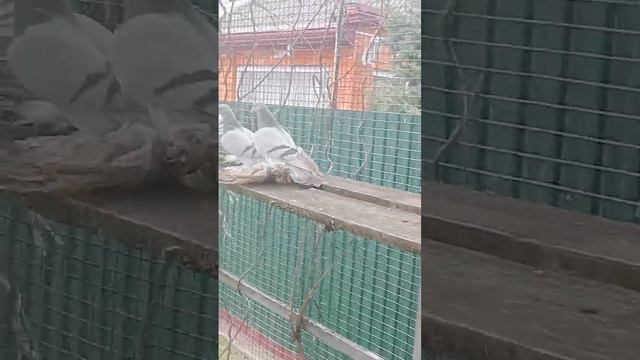 13 февраля 2024 г. смотреть онлайн