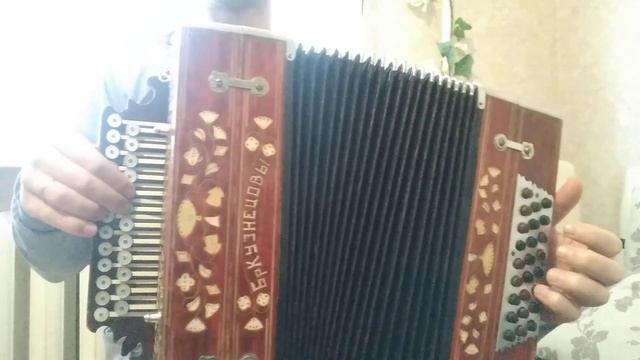 ЧЁРНАЯ СМОРОДИНА ГАРМОНЬ НИЖЕГОРОДСКАЯ смотреть онлайн