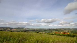 Дикий мёд (авторская песня)