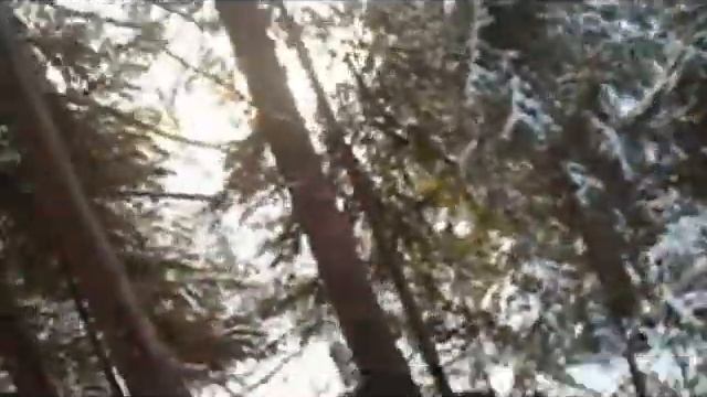 Заблудился в тайге смотреть онлайн