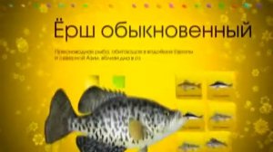 Новогодние заставки Охотник и рыболов (2012) ОРИГИНАЛ