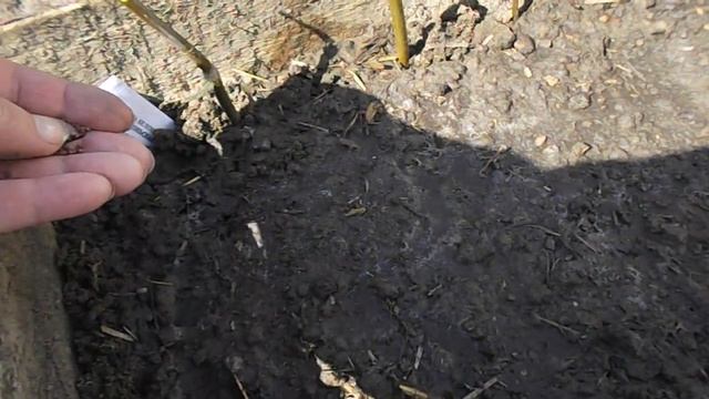 Утро в лесу . Как сделать мини-парник для рассады. Посев капусты на рассаду в грунт. смотреть онлайн