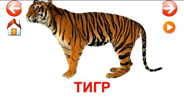 Развивающие карточки Домана. Животные. смотреть онлайн